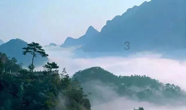 卤鸡翅膀怎么做法？游戏画面